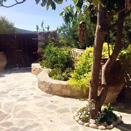 Studio Shamballa Tatil Evi